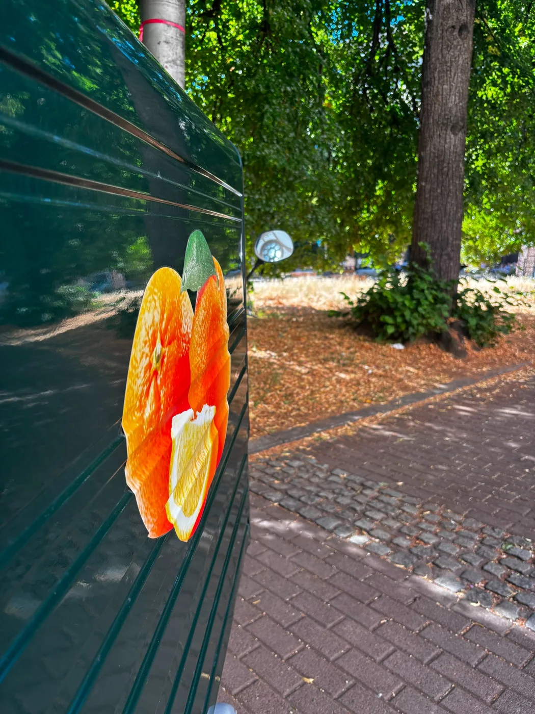 Orangenmotiv an der Ape im Park
